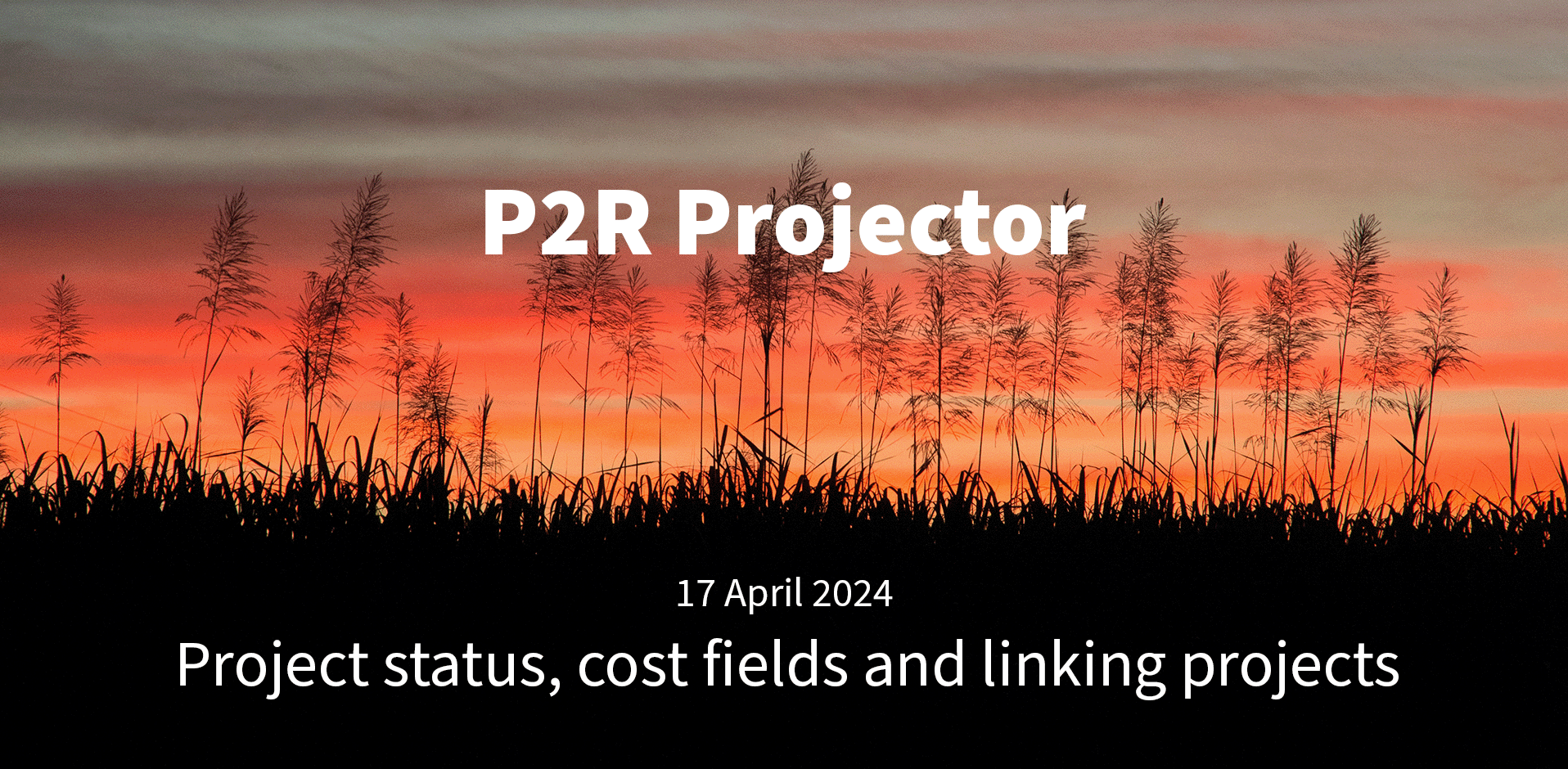 Project status, cost fields and linking projects - P2R Projector